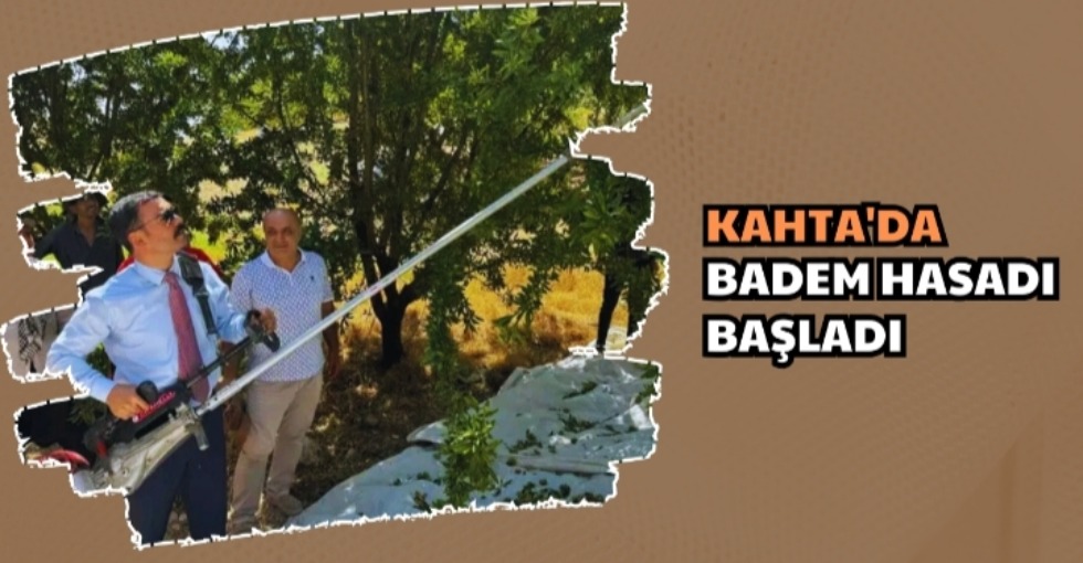 KAHTA’DA BADEM HASADI BAŞLADI